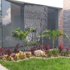 La imagen 4 de la Empresa VIVERO RAÍCES Viveros en Pereira RIS