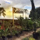 La imagen 5 de la Empresa VIVERO RAÍCES Viveros en Pereira RIS