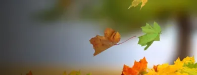 La imagen 2 de la Empresa A.P. & CÍA. ASESORES DE SEGUROS Servicio de administración de empresas en Barranquilla ATL