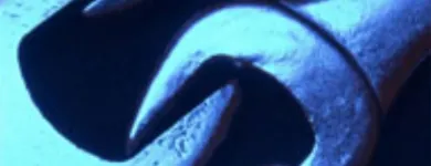 La imagen 2 de la Empresa ABC FITNESS Tienda de artículos deportivos en Medellín ANT