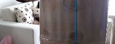 La imagen 4 de la Empresa ACARREO CASA DE LOS TRASTEOS Compañía de mudanzas en Cali VAC