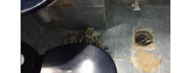 La imagen 6 de la Empresa ACUAFIL NORTE Tienda de artículos de fontanería en Bogotá CUN