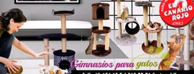 La imagen 3 de la Empresa AGROMASCOTAS EL CANARIO ROJO Veterinario en Medellín ANT