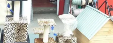 La imagen 5 de la Empresa AGROMASCOTAS EL CANARIO ROJO Veterinario en Medellín ANT