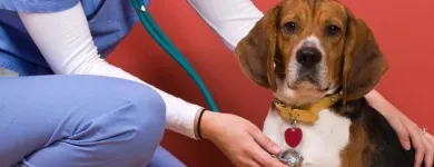 La imagen 1 de la Empresa ANALIZAR VETERINARIO Veterinario en Cúcuta NSA