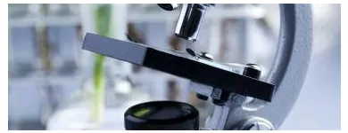 La imagen 2 de la Empresa ANALIZAR VETERINARIO Veterinario en Cúcuta NSA