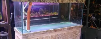 La imagen 3 de la Empresa ANIMAL'S TIENDA DE MASCOTAS Tienda para mascotas en Medellín ANT