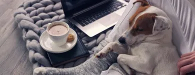 La imagen 2 de la Empresa ANIMALEJOS Veterinario en Medellín ANT