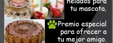 La imagen 3 de la Empresa ANIMALEJOS Veterinario en Medellín ANT
