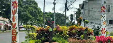 La imagen 6 de la Empresa ARTESANÍAS & VIVERO Viveros en Ibagué TOL