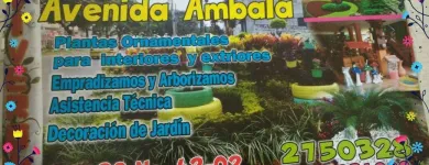 La imagen 7 de la Empresa ARTESANÍAS & VIVERO Viveros en Ibagué TOL