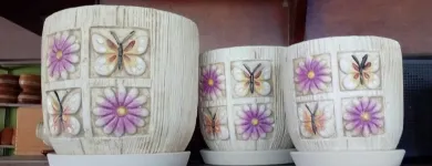 La imagen 12 de la Empresa ARTESANÍAS & VIVERO Viveros en Ibagué TOL