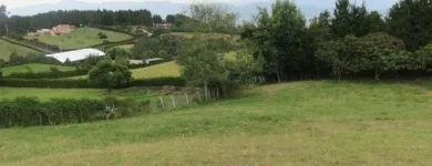 La imagen 4 de la Empresa AVALÚOS INMOBILIARIOS GONZALO PIÑEROS Tienda de maquinaria en Bogotá, D.c. DC