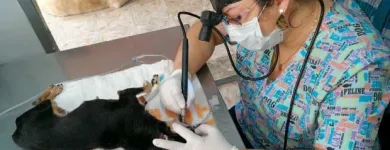 La imagen 1 de la Empresa BALCAZAR MUÑOZ MARIA ALEJANDRA Veterinario en Popayán CAU
