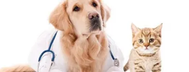 La imagen 2 de la Empresa BALCAZAR MUÑOZ MARIA ALEJANDRA Veterinario en Popayán CAU