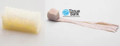 La imagen 1 de la Empresa BANCO DE TEJIDOS HUMANOS TISSUE BANK Pruebas y controles médicos en Medellín ANT