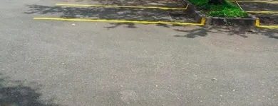 La imagen 1 de la Empresa BANDEX LTDA Servicio de seguridad en Cali VAC