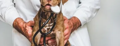 La imagen 5 de la Empresa CANICHES HOSPITAL VETERINARIO Veterinario en Cali VAC