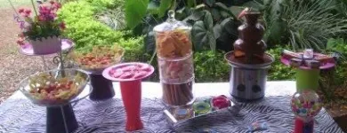 La imagen 20 de la Empresa CAROLINA NIÑO EVENTOS Y RECREACIONES en Cali VAC