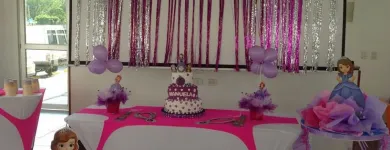 La imagen 4 de la Empresa CARPAS Y EVENTOS MAJO Tienda de pinturas en Cali VAC