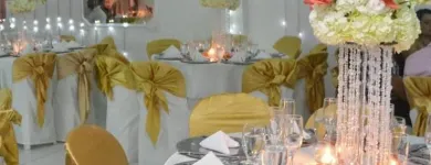 La imagen 3 de la Empresa CELEBRACIONES DINASTÍA Servicio de alquiler de materiales para fiestas en Medellín ANT