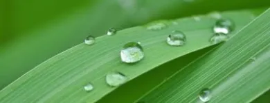 La imagen 3 de la Empresa CHRISTINE VALMY COLOMBIA ACADEMIA MARGOTA CV en Cali VAC