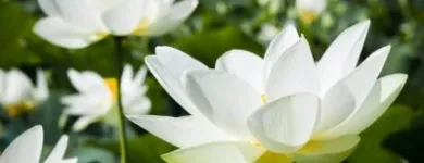 La imagen 5 de la Empresa CHRISTINE VALMY COLOMBIA ACADEMIA MARGOTA CV en Cali VAC