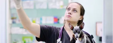La imagen 2 de la Empresa CLÍNICA VETERINARIA DITAIRES Veterinario en Medellín ANT