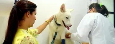 La imagen 4 de la Empresa CLÍNIICA VETERINARIA SANAVET Veterinario en Medellín ANT