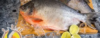 La imagen 4 de la Empresa COMERCIALIZADORA FRESMAR Tienda de alimentos naturales en Dosquebradas RIS