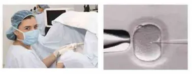 La imagen 1 de la Empresa CONCEVIDAS Terapia ocupacional en Medellín ANT