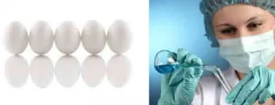 La imagen 3 de la Empresa CONCEVIDAS Terapia ocupacional en Medellín ANT