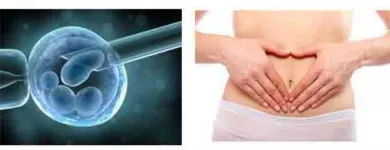 La imagen 4 de la Empresa CONCEVIDAS Terapia ocupacional en Medellín ANT