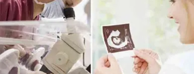 La imagen 5 de la Empresa CONCEVIDAS Terapia ocupacional en Medellín ANT