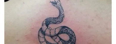 La imagen 3 de la Empresa CONEJO INK Tienda de artículos de arte en Bogotá, D.c. DC