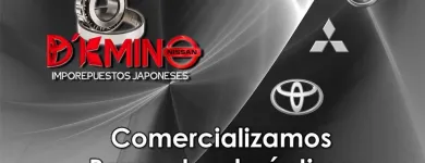La imagen 6 de la Empresa D´KMINO IMPOREPUESTOS JAPONESES en Bogota DC