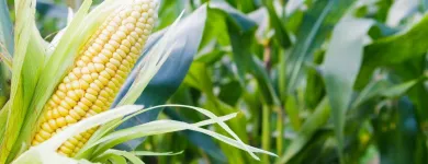 La imagen 2 de la Empresa DELIAREPA Supermercado en Pereira RIS