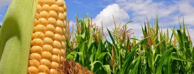 La imagen 3 de la Empresa DELIAREPA Supermercado en Pereira RIS