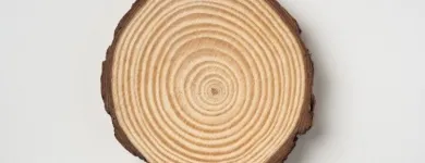 La imagen 1 de la Empresa DEPOSITO DE MADERA RIVERA MONTES Tienda de artículos de embalaje en Cúcuta NSA