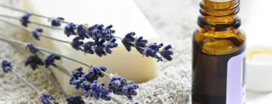 La imagen 5 de la Empresa DIAMANTES PERFUMERÍA Suministro de productos para el cuidado personal en Medellín ANT