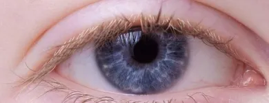 La imagen 5 de la Empresa DR. JORGE RAMÓN HOYOS HERAZO Oftalmología en Pereira RIS