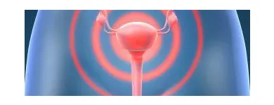 La imagen 1 de la Empresa DRA. ELIANA MARIBEL QUINTERO ROA Radiografía y diagnóstico por imagen en Bucaramanga SAN