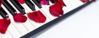 La imagen 4 de la Empresa DUETO SENTIMIENTOS Tienda de instrumentos musicales en Medellín ANT