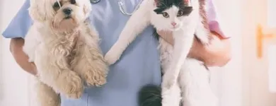 La imagen 5 de la Empresa EL ESTABLO ALMACÉN AGROPECUARIO Veterinario en Bucaramanga SAN
