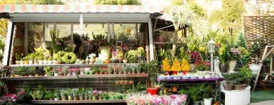 La imagen 5 de la Empresa EL PALACIO DE LAS HIERBAS Y LAS FLORES Mayorista para floristerías en Medellín ANT