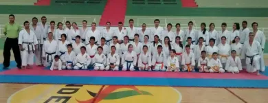 La imagen 1 de la Empresa ESCUELA DE ARTES MARCIALES LA PALESTRA Escuela de artes marciales en Bucaramanga SAN