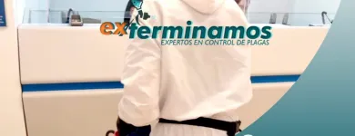 La imagen 1 de la Empresa EXTERMINAMOS Empresa de fumigación y control de plagas en Medellín ANT