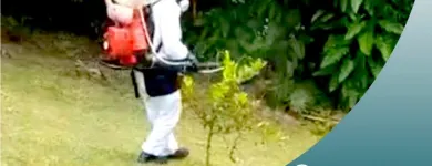 La imagen 4 de la Empresa EXTERMINAMOS Empresa de fumigación y control de plagas en Medellín ANT