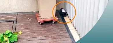 La imagen 8 de la Empresa EXTERMINAMOS Empresa de fumigación y control de plagas en Medellín ANT