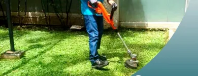 La imagen 9 de la Empresa EXTERMINAMOS Empresa de fumigación y control de plagas en Medellín ANT